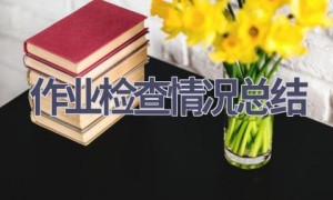 作业检查情况总结(14篇范文）
