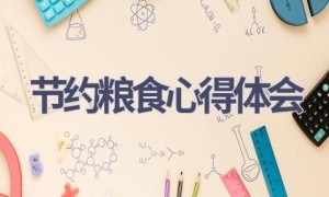 节约粮食心得体会(19篇范文）