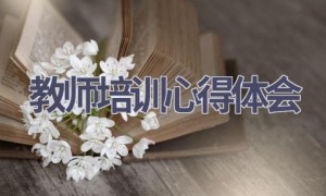 教师培训心得体会(16篇范文）