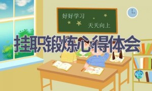 挂职锻炼心得体会(17篇范文）