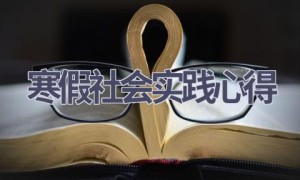 寒假社会实践心得(16篇范文）