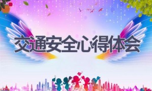 交通安全心得体会(19篇范文）