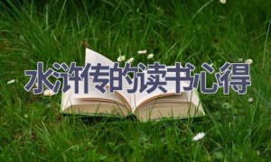 水浒传的读书心得(16篇范文）