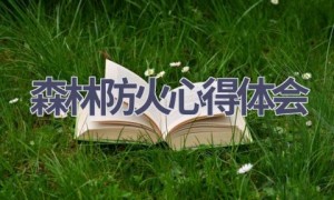 森林防火心得体会(11篇范文）