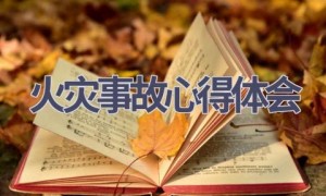 火灾事故心得体会(14篇范文）