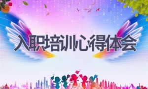 入职培训心得体会(15篇范文）