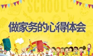 做家务的心得体会(19篇范文）
