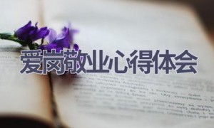 爱岗敬业心得体会(15篇范文）