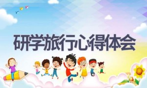 研学旅行心得体会(14篇范文）