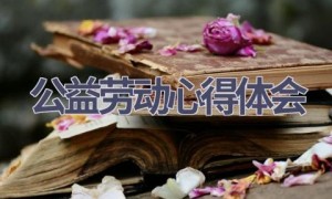 公益劳动心得体会(11篇范文）