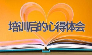 培训后的心得体会(17篇范文）
