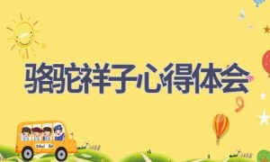 骆驼祥子心得体会(15篇范文）