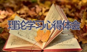 理论学习心得体会(9篇范文）