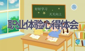 职业体验心得体会(13篇范文）