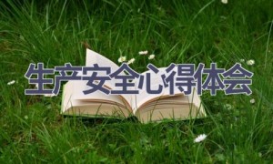 生产安全心得体会(17篇范文）
