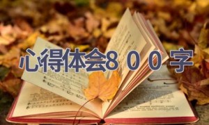 心得体会800字(15篇范文）