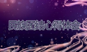 民族团结心得体会(12篇范文）