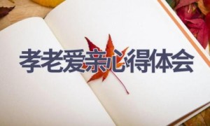 孝老爱亲心得体会(13篇范文）