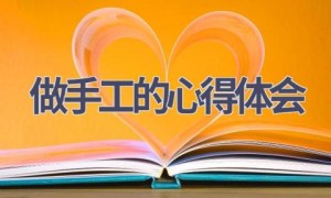 做手工的心得体会(11篇范文）
