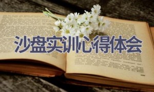 沙盘实训心得体会(10篇范文）
