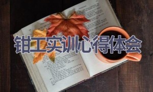 钳工实训心得体会(12篇范文）