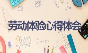 劳动体验心得体会(14篇范文）