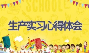生产实习心得体会(16篇范文）