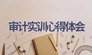 审计实训心得体会(12篇范文）