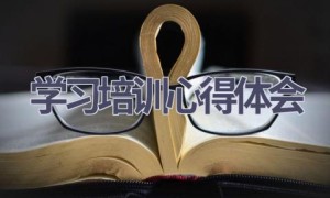 学习培训心得体会(11篇范文）