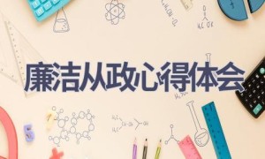 廉洁从政心得体会(4篇范文）