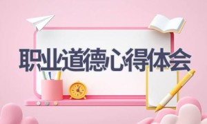 职业道德心得体会(17篇范文）