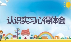 认识实习心得体会(20篇范文）