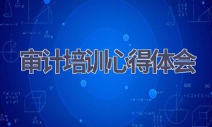 审计培训心得体会(12篇范文）