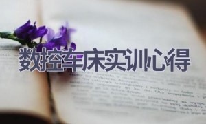 数控车床实训心得(11篇范文）