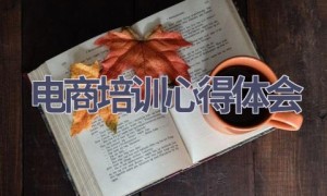 电商培训心得体会(12篇范文）