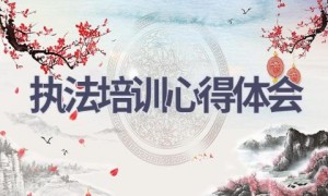 执法培训心得体会(17篇范文）