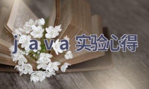 java实验心得(11篇范文）