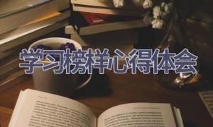 学习榜样心得体会(17篇范文）