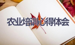 农业培训心得体会(17篇范文）
