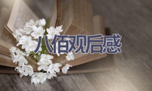 八佰观后感(8篇范文）