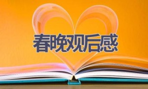 春晚观后感(15篇范文）