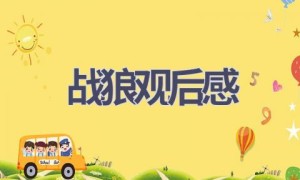 战狼观后感(16篇范文）