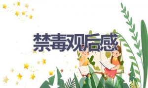 禁毒观后感(10篇范文）