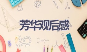 芳华观后感(13篇范文）