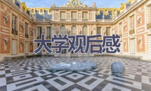 大学观后感(16篇范文）