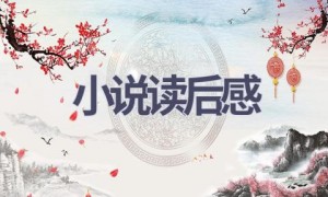 小说读后感(16篇范文）