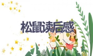 松鼠读后感(10篇范文）