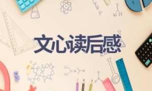 文心读后感(8篇范文）