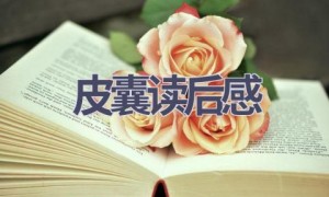 皮囊读后感(13篇范文）