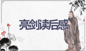 亮剑读后感(11篇范文）